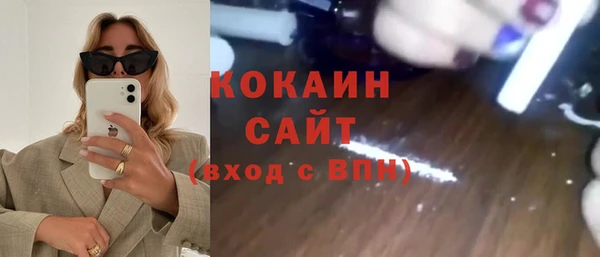 apvp Алексин