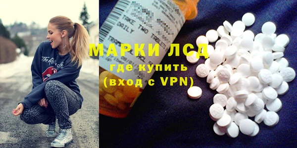 apvp Алексин