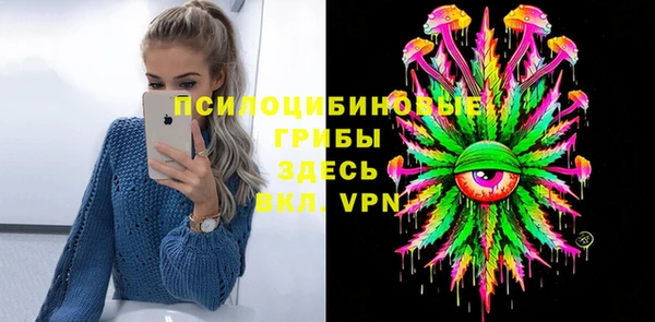 соль ск Липки