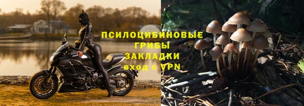амфетамин Алексеевка